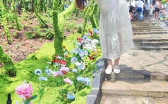 孤零飘落燕在线观看